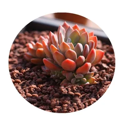 Carraig Lava Dearg Nádúrtha